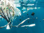 Ist KI das neue Plastik?
